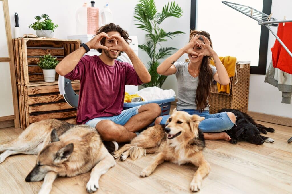 Young hispanic couple doing laundry with dogs doing heart shape with hand and fingers smiling looking through sign